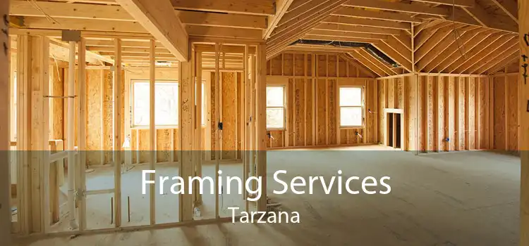 Framing Services Tarzana